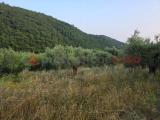 Particella, PISTOIA, Caloria, 28.000 €, 5000,00 mq