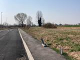 Particella, COLOGNA VENETA, <i>A richiesta</i>, 700,00 mq