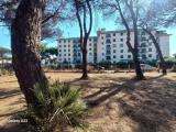 Particella, CELLOLE, 120.000 €, 3780,00 mq