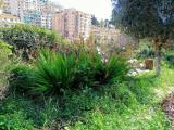 Particella, SANREMO, 15.000 €, 200,00 mq