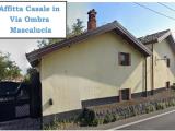 Affitto, Casa, MASCALUCIA, 1.800 €, 299,00 mq