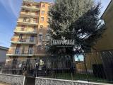 Appartamento, COLOGNO MONZESE, 175.000 €, 59,00 mq