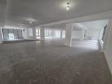Affitto, Superfici commerciali, SAN GIULIANO MILANESE, 3.000 €, 350,00 mq