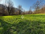 Particella, LECCO, 65.000 €, 3300,00 mq