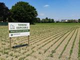 Particella, PADOVA, 120.000 €, 1018,00 mq
