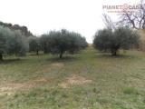 Particella, SAN BENEDETTO DEL TRONTO, 150.000 €, 8600,00 mq