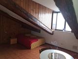 Affitto, Appartamento, TORINO, 460 €, 28,00 mq
