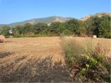 Particella, SESSA AURUNCA, 26.000 €, 6200,00 mq