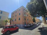 Superfici commerciali, VADO LIGURE, 53.000 €, 36,00 mq