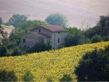 Casa, SENIGALLIA, 150.000 €, 250,00 mq