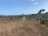 Particella, STINTINO, 14.000 €, 613,00 mq