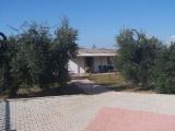 Particella, SONNINO, 38.000 €, 50,00 mq