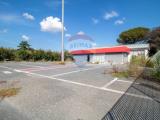 Affitto, Superfici commerciali, FIUMICINO, 5.000 €, 398,00 mq