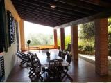Casa, CASTELFIORENTINO, 470.000 €, 310,00 mq