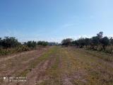 Particella, NARDÒ, 12.000 €, 9153,00 mq