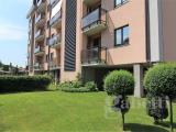 Affitto, Appartamento, BUSTO ARSIZIO, 500 €, 55,00 mq