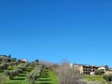 Particella, MONTALTO UFFUGO, 90.000 €, 3020,00 mq