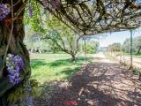 Particella, FOLLONICA, 60.000 €, 1800,00 mq