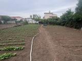 Particella, MARCIANISE, 43.000 €, 700,00 mq