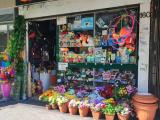 Superfici commerciali, MONTEVERDE, 197.000 €, 65,00 mq