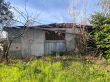 Particella, CERTALDO, 40.000 €, 3537,00 mq