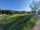 Particella, AMELIA, 30.000 €, 5000,00 mq