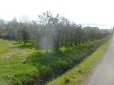 Particella, MAGIONE, 140.000 €, 18000,00 mq