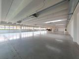 Affitto, Superfici commerciali, NOVENTA PADOVANA, 3.000 €, 750,00 mq