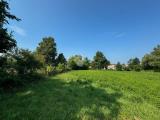 Particella, BARZANÒ, 325.000 €, 6000,00 mq