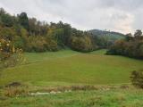 Particella, TORRETTA, 85.000 €, 36200,00 mq