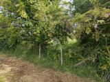 Particella, LABICO, 23.000 €, 2000,00 mq