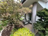 Casa, RIESE PIO X, 350.000 €, 265,00 mq