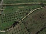 Particella, PIOMBINO, 90.000 €, 7480,00 mq