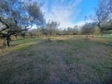 Particella, PIANELLA, 90.000 €, 3500,00 mq