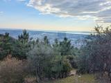 Particella, PIETRASANTA, <i>A richiesta</i>, 390,00 mq