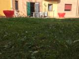 Appartamento, L