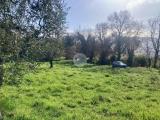 Particella, TERNI, Collestatte, 55.000 €, 5460,00 mq