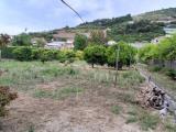 Particella, VALLECROSIA, 240.000 €, 2500,00 mq