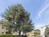Appartamento, VERONA, 295.000 €, 130,00 mq