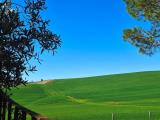 Appartamento, MONTERONI D