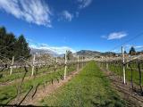 Particella, TRENTO, Gabbiolo, 310.000 €, 7113,00 mq