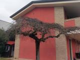 Affitto, Casa, ALBIGNASEGO, 1.600 €, 140,00 mq