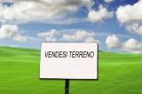 Particella, COLOGNO AL SERIO, 49.000 €, 6700,00 mq