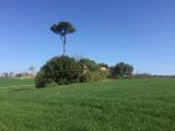 Casa, MONDOLFO, 150.000 €, 150,00 mq