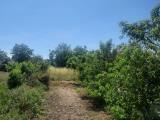Particella, CAIVANO, 55.000 €, 1200,00 mq