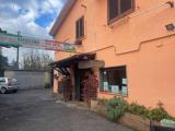 Affitto, Superfici commerciali, ROCCA PRIORA, 1.300 €, 100,00 mq