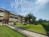 Appartamento, GROSSETO, 295.000 €, 100,00 mq