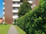 Appartamento, PIOLTELLO, 125.000 €, 45,00 mq