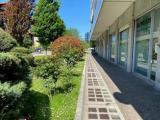 Superfici commerciali, UDINE, 150.000 €, 190,00 mq