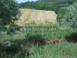 Particella, PESARO, 25.000 €, 1500,00 mq